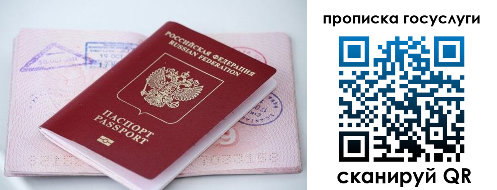 прописка законно в Александрове